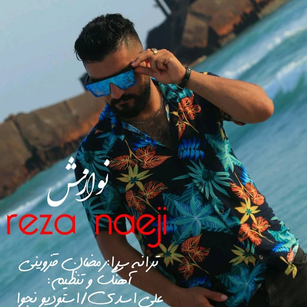 رضا نائیجی نوازش